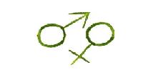 signes