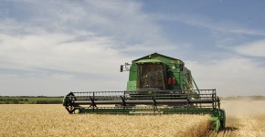 Agriculture_in_Volgograd_Oblast_002