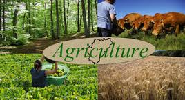 agriculture