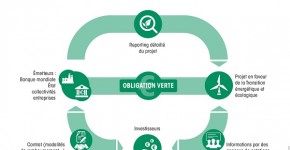 1701_Infographie sur les obligations vertes